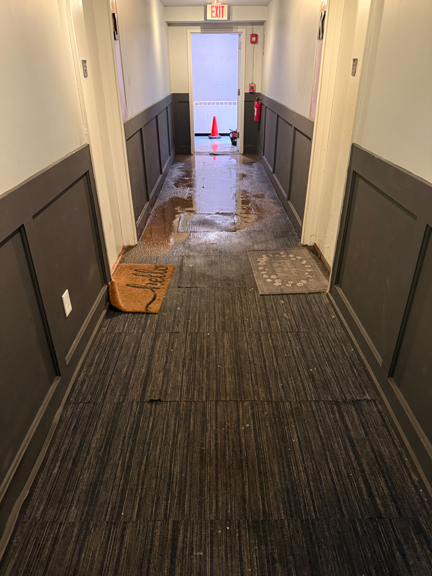 The call: water surfacing through the hallway floor of a Connecticut apartment building — classic sign of a failed underground drain line.