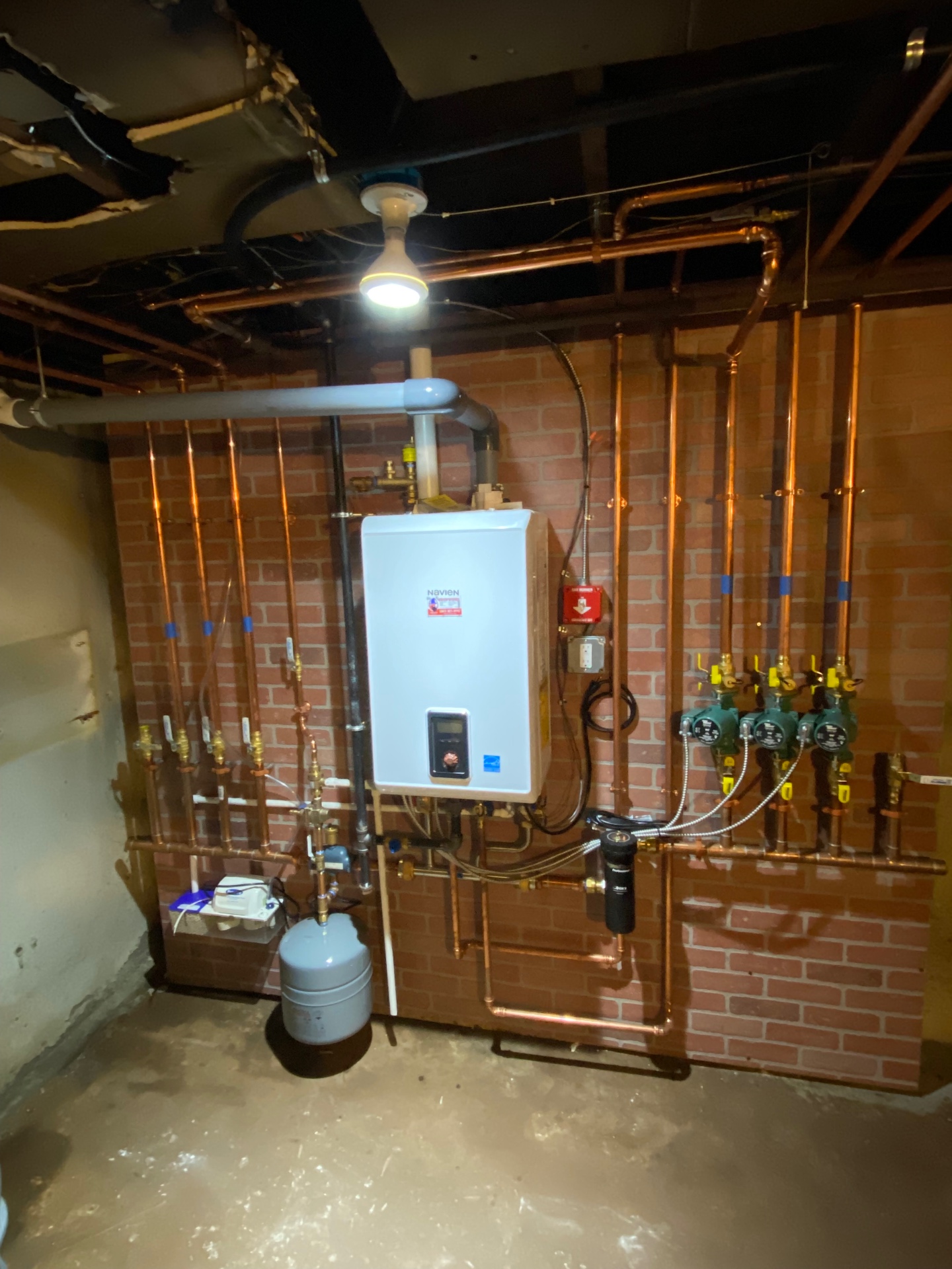 Navien combi boiler feeding a full multi-zone hydronic manifold — Taco circulators, dielectric unions, isolation valves, and a whole-home sediment filter. Real craftsmanship.