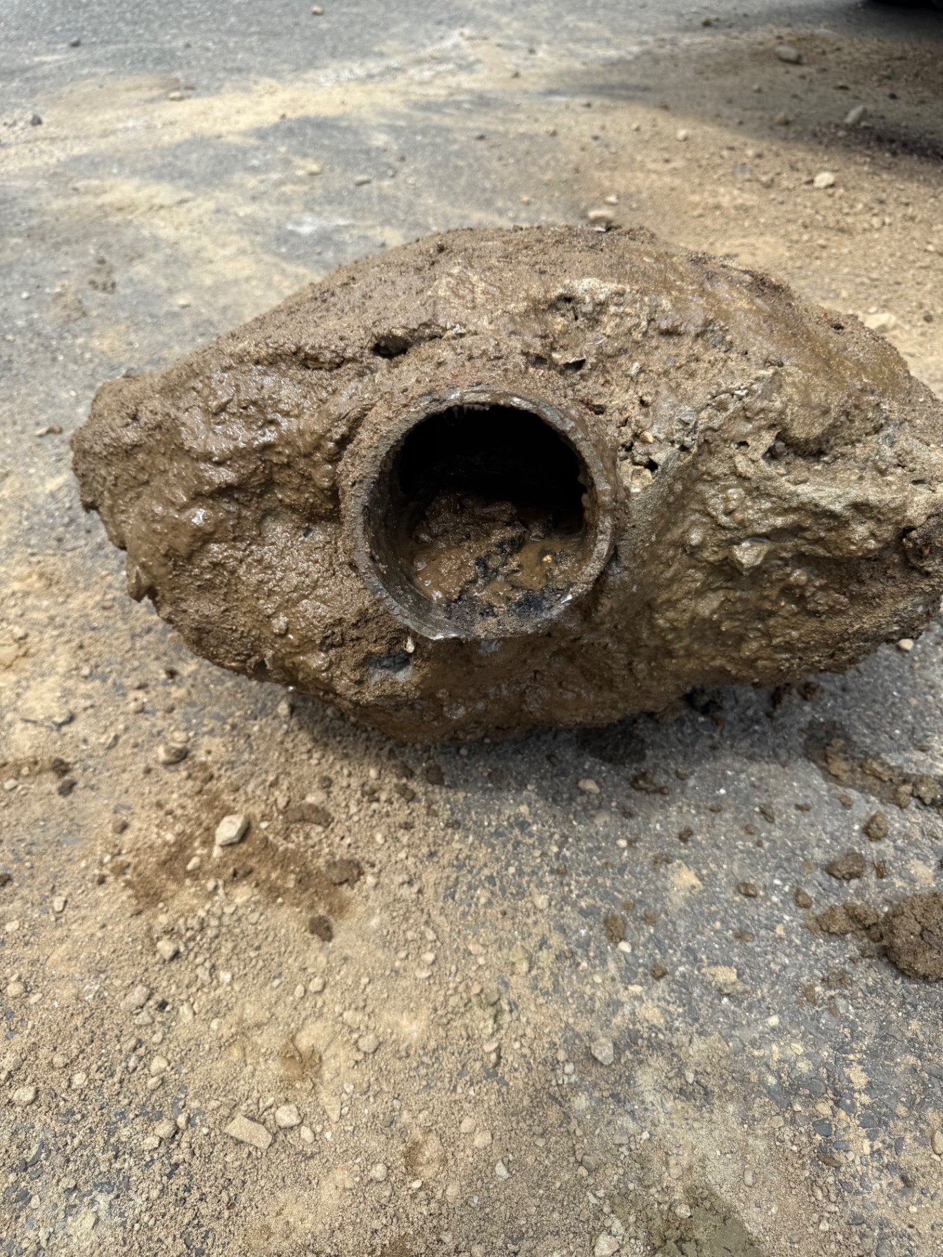 The reason we replaced it — a section of the old line pulled from the trench, choked solid with hardened debris and completely blocked. No amount of cleaning brings that back.
