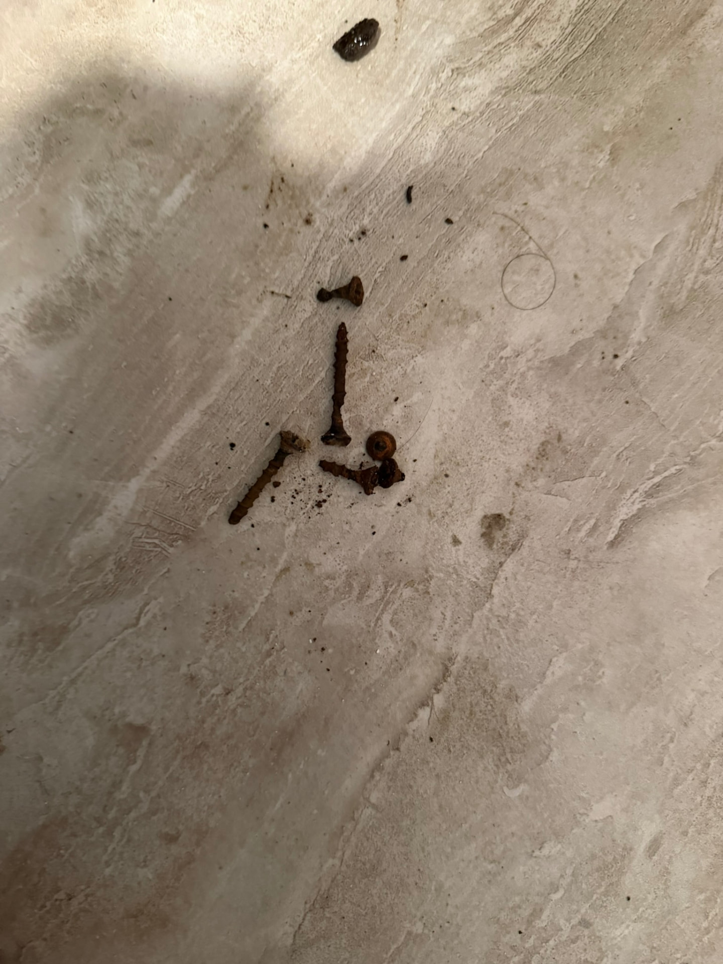 Severely rusted and corroded toilet mounting screws removed during a Drain Wizard toilet service job