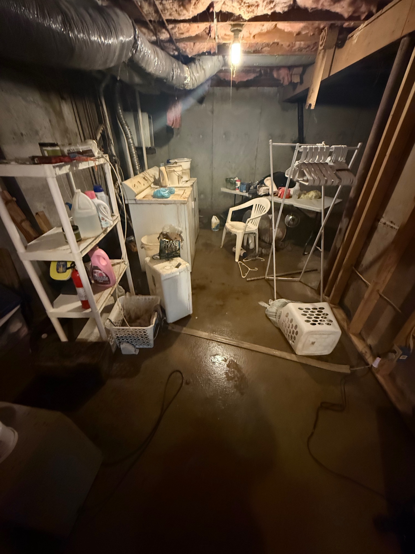 Basement laundry and storage area with standing water from a plumbing leak in a Cheshire, CT home