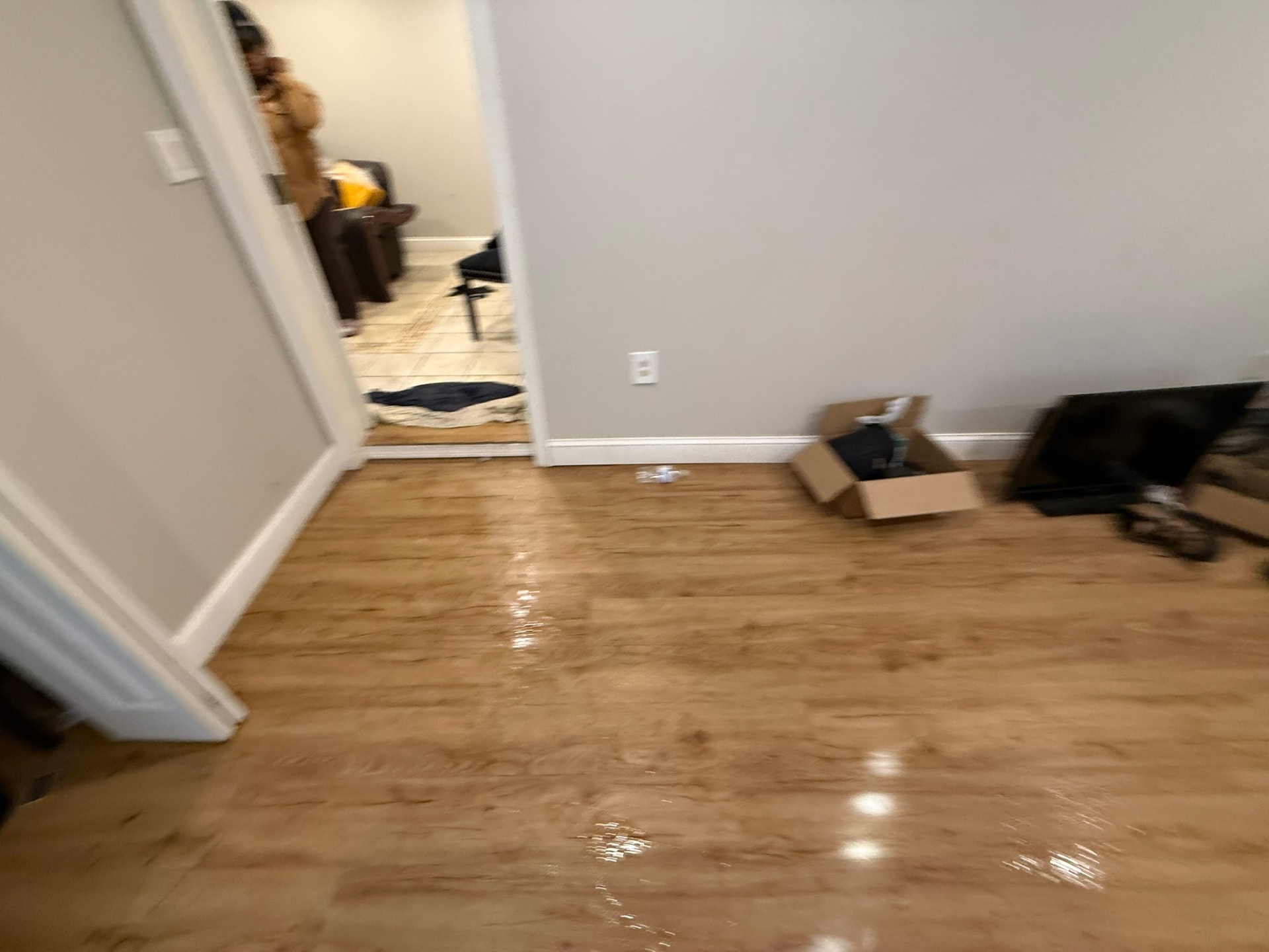 Drain Wizard water damage restoration — standing water on a light hardwood floor from a supply line leak in Connecticut.